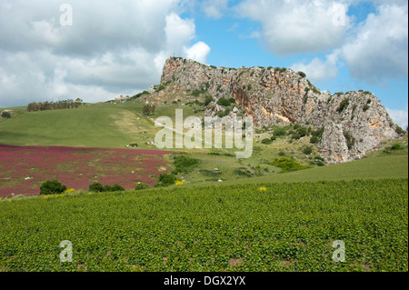 Paysage près de Le Rocche di Rao, SS 118, Sicile, Italie, Europe Banque D'Images