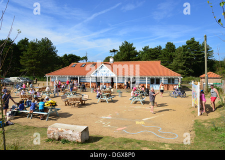 Beach Cafe à pinèdes, Wells-next-the-Sea, Norfolk, Angleterre, Royaume-Uni Banque D'Images