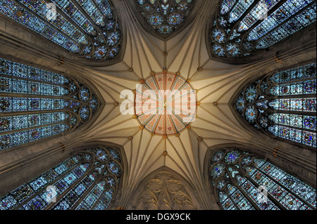 Plafond de la Salle Capitulaire, York Minster, York, Angleterre, Royaume-Uni Banque D'Images