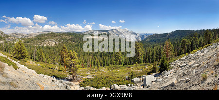 Plateau à Tioga Pass, Tioga Pass, Yosemite National Park, California, United States Banque D'Images