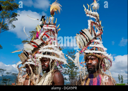 Des membres d'une tribu en costumes colorés avec de la peinture face à la traditionnelle collecte sing-sing, Hochland Banque D'Images