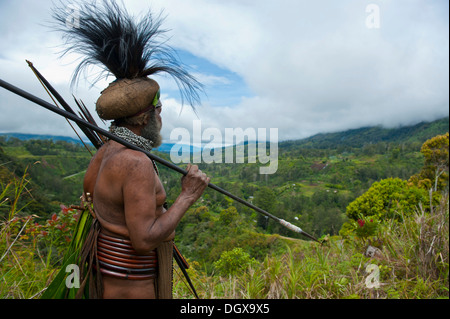 Chef de Tribu habillé de façon traditionnelle dans les Highlands, Paya, Highland, Papouasie Nouvelle Guinée Banque D'Images