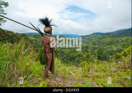 Chef de Tribu habillé de façon traditionnelle dans les Highlands, Paya, Highland, Papouasie Nouvelle Guinée Banque D'Images