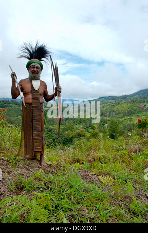 Chef de Tribu habillé de façon traditionnelle dans les Highlands, Paya, Highland, Papouasie Nouvelle Guinée Banque D'Images