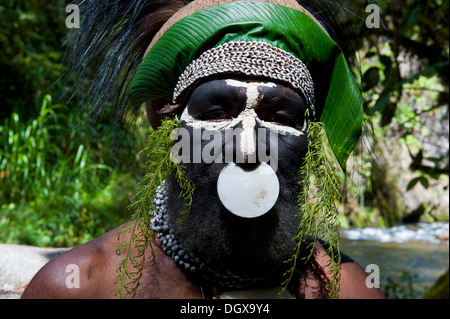 Chef de Tribu décoré et peint, Hochland, Paya, Highland, Papouasie Nouvelle Guinée Banque D'Images