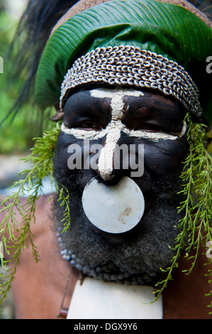 Chef de Tribu décoré et peint, Hochland, Paya, Highland, Papouasie Nouvelle Guinée Banque D'Images