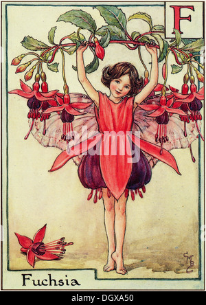 Fées fleurs Illustration par Cicely Mary Barker - La Fée fuchsia, 1934 Banque D'Images