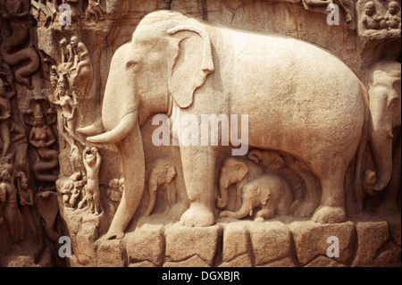 Bas-relief en pierre incroyable avec des fragments de l'éléphant au Mammallapuram, Inde, Tamil Nadu Banque D'Images