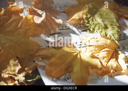 Feuille de musique avec les feuilles d'automne. Vue rapprochée Banque D'Images