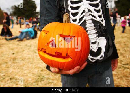 Berlin, Allemagne. 27 Oct, 2013. Un homme tient une citrouille sculptée dans le Jardin botanique de Berlin, Allemagne, 27 octobre 2013. Des milliers de Berlinois ont pris part à l'Halloween dans le jardin botanique qui a été mis en évidence par une bataille de paille entre les enfants et les adultes. Photo : WOLFRAM STEINBERG/dpa/Alamy Live News Banque D'Images