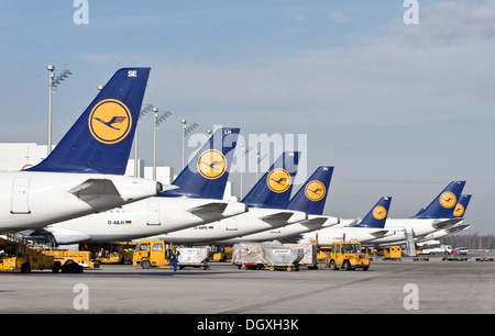Les avions de la compagnie aérienne allemande Lufthansa debout à la borne 2 de l'aéroport de Munich, Bavière Banque D'Images