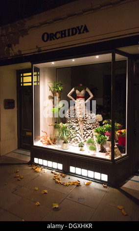 Vitrine dans l'automne à la nuit courts Banque D'Images
