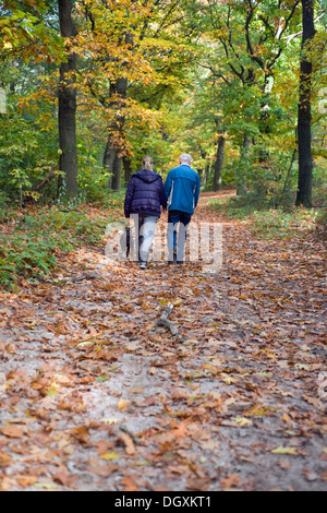 Deux personnes promènent leurs chiens le long d'un sentier de forêt à feuilles à l'automne Banque D'Images