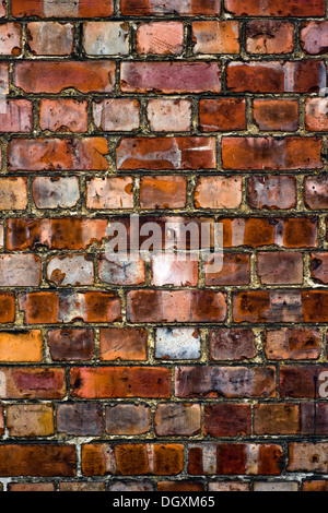 Près d'un mur de briques Banque D'Images