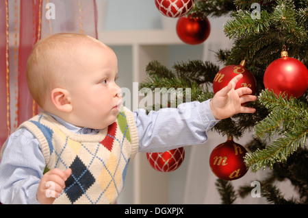 Tout-petit pour atteindre baubles on a Christmas Tree Banque D'Images