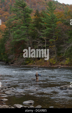 Personnes âgées fly fisherman jette dans la rivière Housatonic dans Litchfield Comté (Connecticut). Banque D'Images