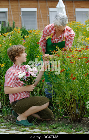 Grand-mère et petit-fils travaillent ensemble dans le jardin Banque D'Images