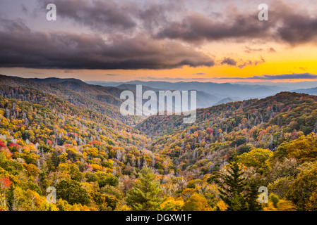 Coucher du soleil d'automne dans les Smoky Mountains National Park. Banque D'Images