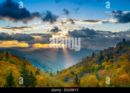 Lever du soleil d'automne dans les Smoky Mountains National Park. Banque D'Images