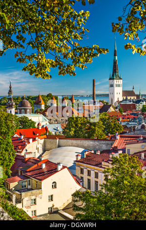 Skyline de Tallinn, Estonie à la vieille ville. Banque D'Images