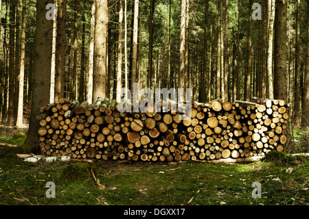 Pile de bois, granulés de bois dans une forêt d'épinettes, Starnberg, Gauting, Upper Bavaria, Bavaria, Germany Banque D'Images