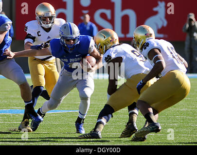 Colorado Springs, Colorado, États-Unis. 26Th Oct, 2013. Le quart-arrière de l'Armée de l'air, Nate Romine # 6, au cours de l'action entre la lutte contre Notre Dame et Irlandais l'Air Force Academy Falcon Falcon au Stadium, U.S. Air Force Academy, Colorado Springs, Colorado. Notre Dame bat l'Air Force 45 - 10. © csm/Alamy Live News Banque D'Images