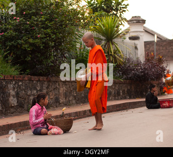 Un moine bouddhiste donne une pauvre fille nourriture pendant la cérémonie quotidienne du matin de l'aumône aux moines à Luang Prabang, Laos. Banque D'Images