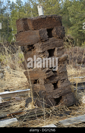 Des piles de mottes de tourbe laissés à sécher, la récolte de la tourbe, Nicklheim, Bavaria Banque D'Images