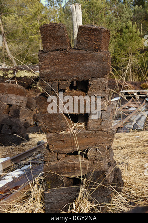 Des piles de mottes de tourbe laissés à sécher, la récolte de la tourbe, Nicklheim, Bavaria Banque D'Images