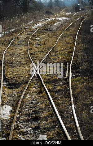 Les voies de chemin de fer d'un Feldbahn ou chemin de fer à voie étroite, le rétroéclairage, l'ancienne zone d'extraction de tourbe, Nicklheim, Bavaria Banque D'Images