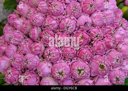 Des fleurs de lotus en vente au marché de Psar Thmei, Phnom Penh, Cambodge Banque D'Images