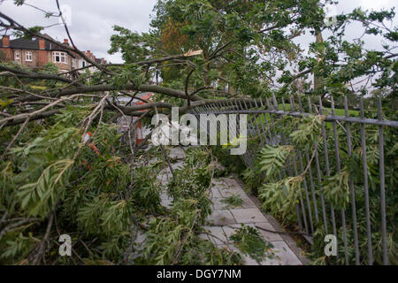 Herne Hill, Londres 28 Oct 2013 : un arbre tombé bloque une route à Herne Hill, Londres du sud comme le pire de la tempête, des vents de sud bretagne larmes à travers ce parc public, le blocage de la route de banlieue et à la flexion des garde-corps.La tempête, appelé St Jude, a introduit le plus de vent, la météo à frapper le Royaume-Uni depuis 1987. Crédit : Richard Baker / Alamy Live News Banque D'Images