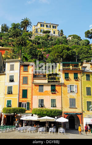 Le village de port de Portofino, Riviera, Ligurie, Italie, Europe Banque D'Images