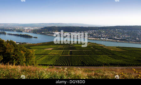 Vue depuis le monument Niederwalddenkmal, Ruedesheim, sur les vignobles et le Rhin à Bingen, Rhin, Rhénanie-Palatinat Banque D'Images