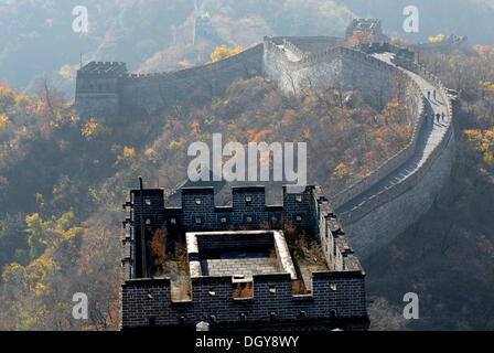 Tour de la Grande Muraille de Chine près de Mutianyu, couleurs automnales, près de Beijing, China, Asia Banque D'Images