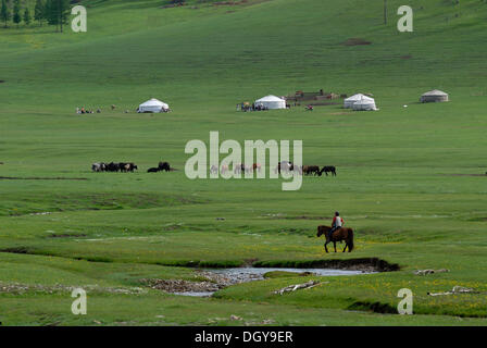 L'enfant de Mongolie à cheval sur un cheval vers un camp d'été des nomades avec un troupeau de yaks, ger yourtes ou tentes rondes, dans un écrin de verdure Banque D'Images