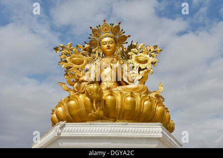 Le bouddhisme tibétain, nouvelle grande statue de Bouddha au monastère, Rongpo Gonchen Gompa, Tongren, Repkong, Qinghai, anciennement l'Amdo Banque D'Images