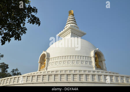 World Peace Stupa stupa doré, avec les statues de Bouddha sur le Pic des Vautours, destination de pèlerinage bouddhiste, Ragir, Rajgir, Rajagrihain Banque D'Images