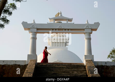 Un moine en robe de moine en marche avant du World Peace Stupa, sur le Pic des Vautours, important lieu de pèlerinage bouddhiste, Banque D'Images