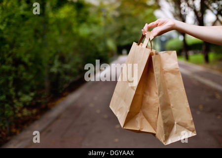 Les sacs dans la main Banque D'Images