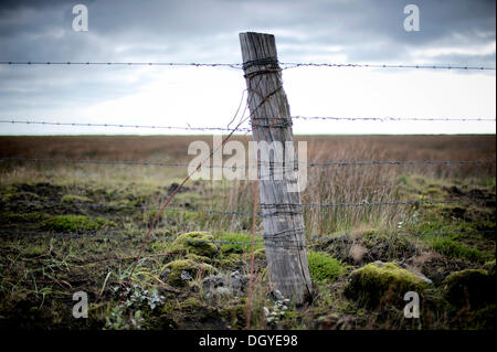 En bois avec du fil de fer barbelé, une clôture près de Kirkjubaejarklaustur, Opava, ville de Skaftárhreppur Banque D'Images