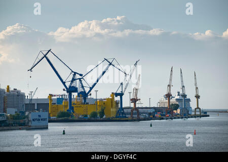 Grues, chantier naval, Port étranger, Neptun Werft, Rostock, Mecklembourg-Poméranie-Occidentale, Allemagne Banque D'Images