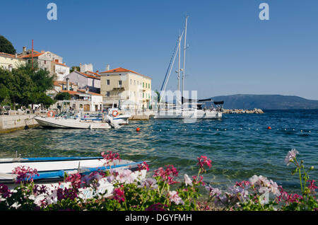 Bateaux dans le village de pêcheurs de Valun, île de Cres, la mer Adriatique, le golfe de Kvarner, Croatie, Europe Banque D'Images