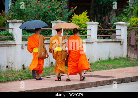 Moines à Luang Prabang, Laos, Asie du sud-est Banque D'Images