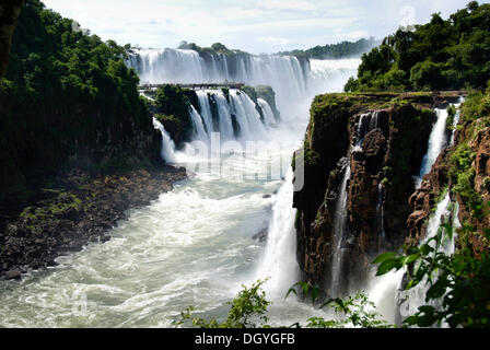 Chutes d'Iguaçu, les berges du côté argentin, rivière Iguazu, Argentine, Amérique du Sud Banque D'Images