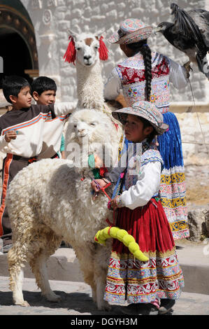 Llama, girl, maca, inca quechua, règlement des différends, le Pérou, Amérique du Sud, Amérique latine Banque D'Images