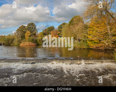 River de bakewell derbyshire Banque D'Images