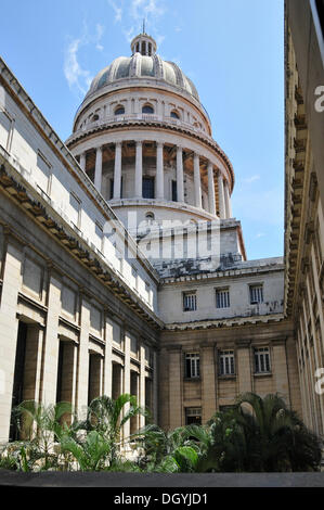 Cour intérieure, Capitol, vieille ville, La Havane, Cuba, Caraïbes, Amérique centrale Banque D'Images