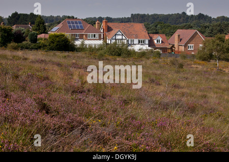 Le développement d'habitation le long du bord de la lande d'importance internationale, Dunyeats Hill, Poole, Dorset du bassin. Banque D'Images