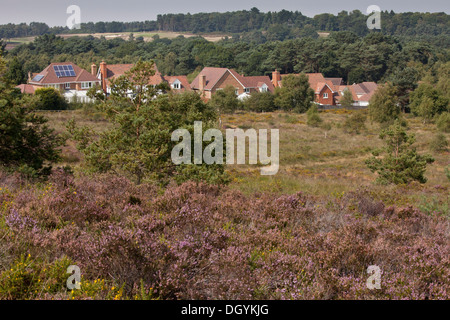 Le développement d'habitation le long du bord de la lande d'importance internationale, Dunyeats Hill, Poole, Dorset du bassin. Banque D'Images